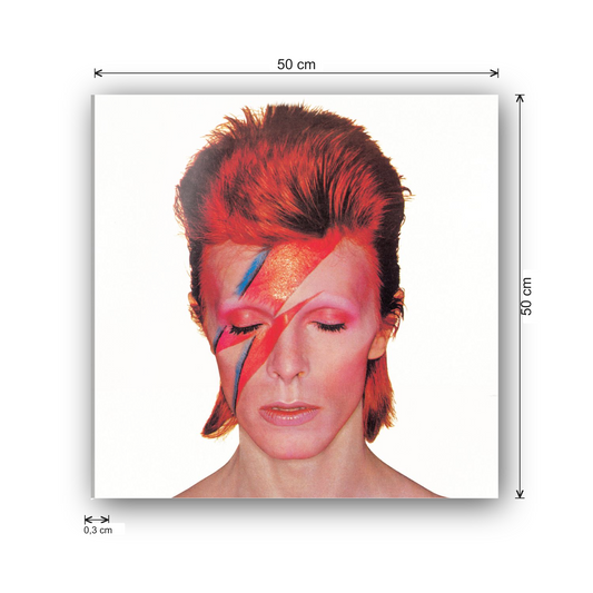 David Bowie cm 50x50 - misure