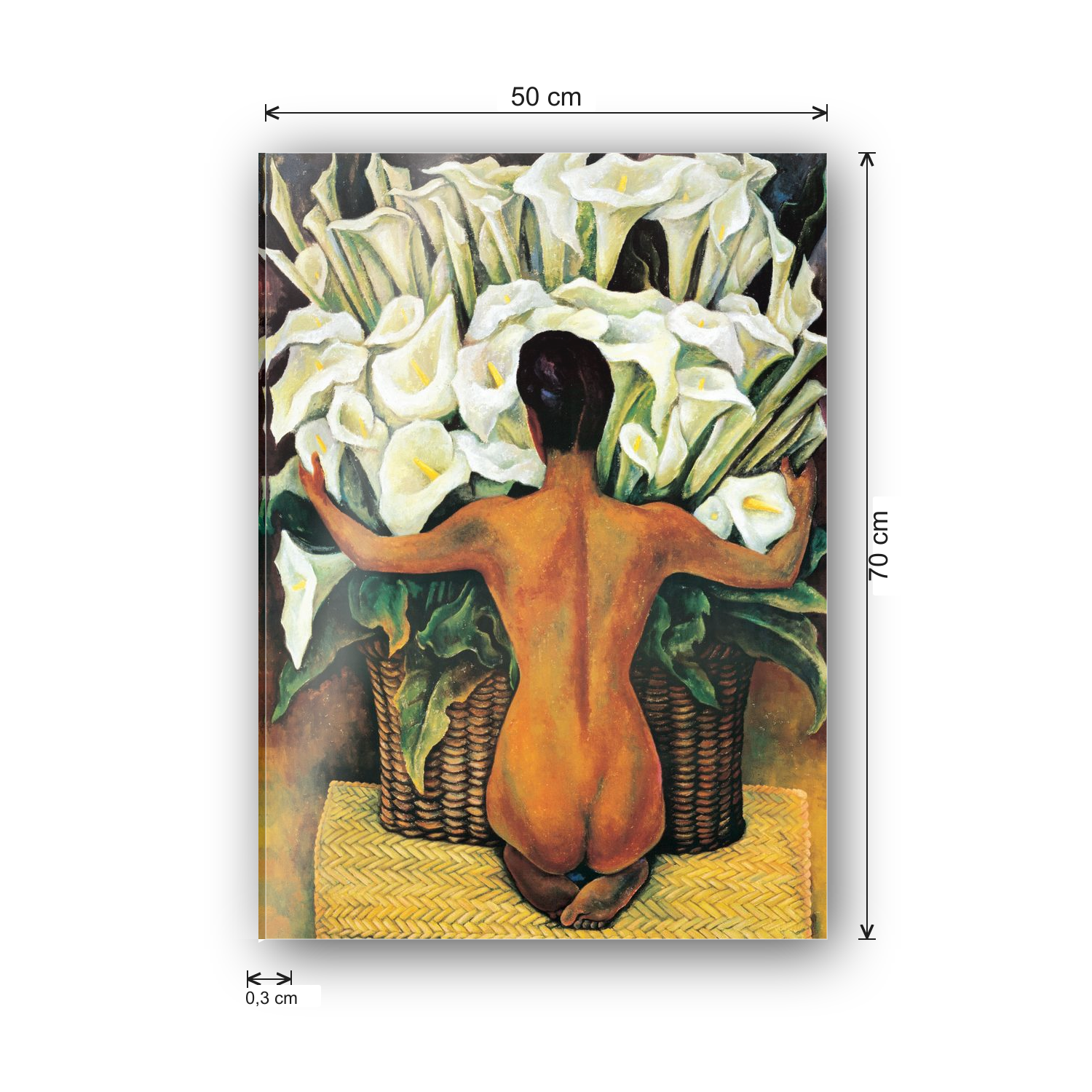 Homage to Rivera - Nude With Calla Lilies cm 50x70 - misure