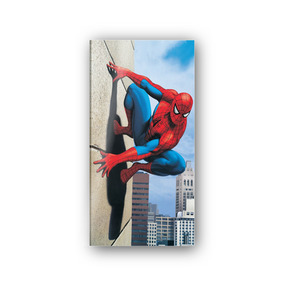 Homage to Spiderman cm 50x100