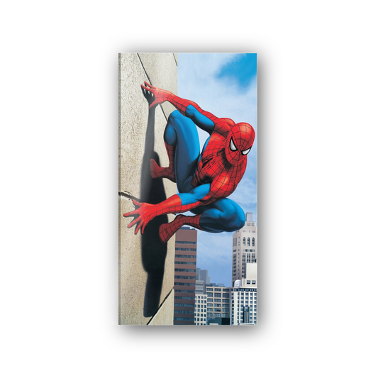 Homage to Spiderman cm 50x100