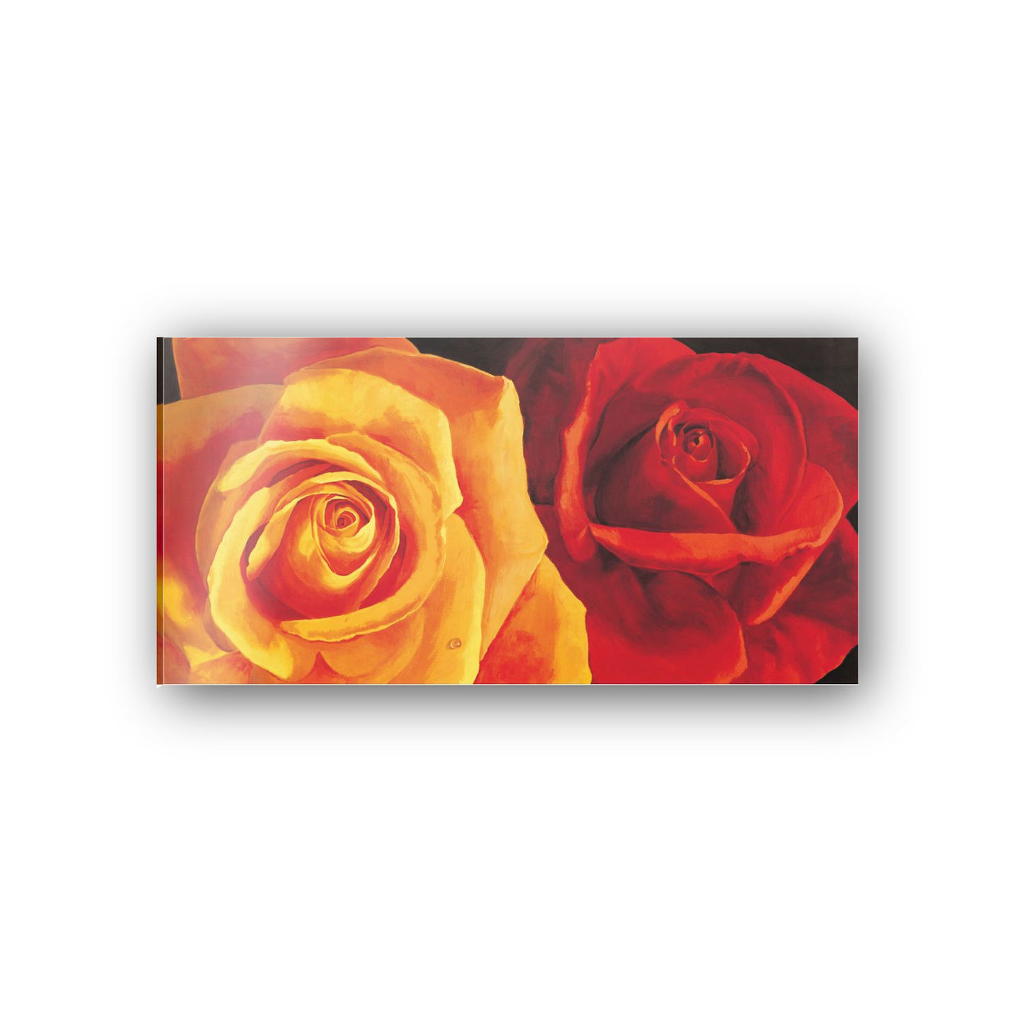 Roses cm 100x50