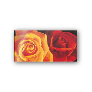Roses - cm 100x50 - Pannello Acrilico