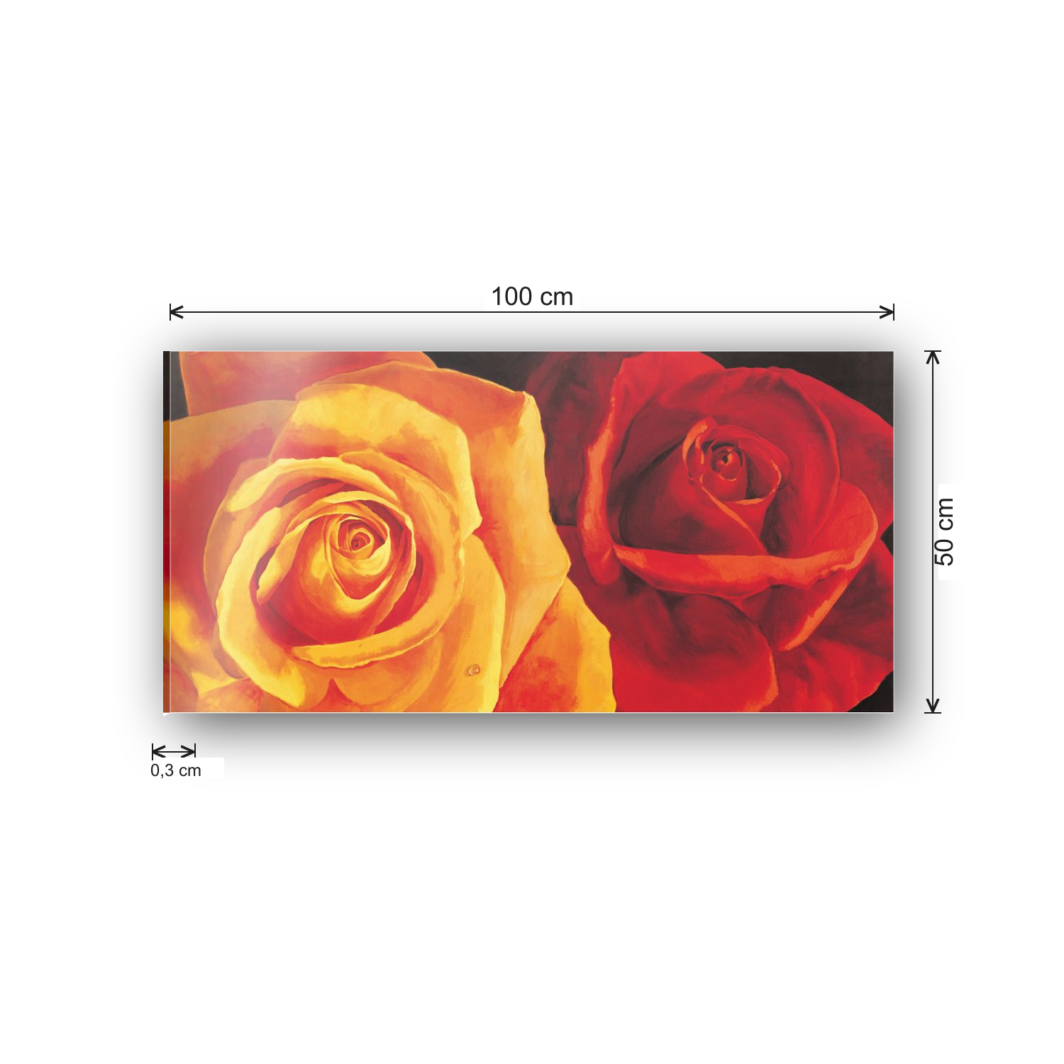 Roses cm 100x50 - misure