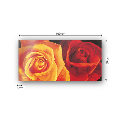 Roses cm 100x50 - misure