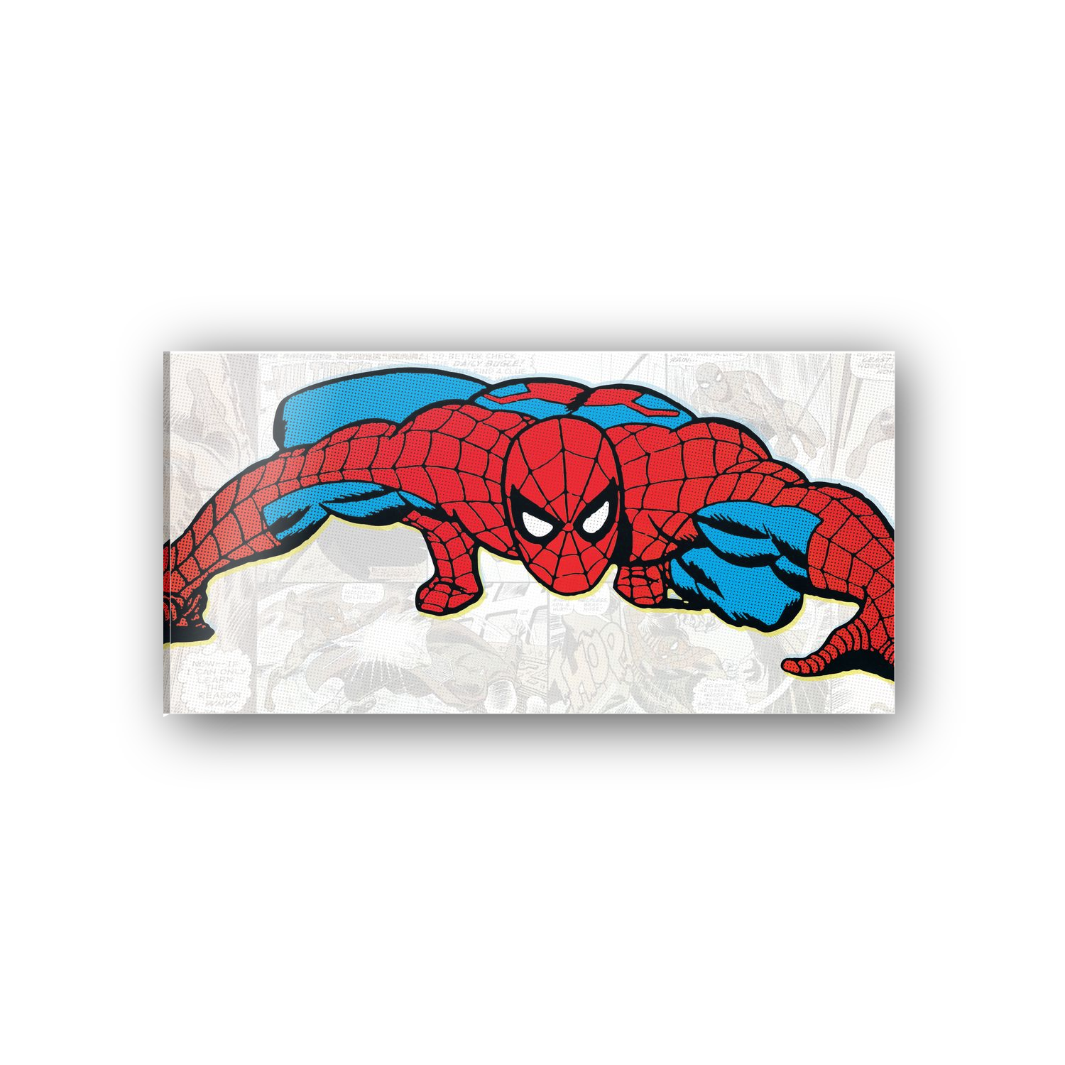Homage to Spiderman cm 100x50