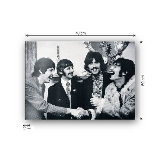 The Beatles cm 70x50 - misure