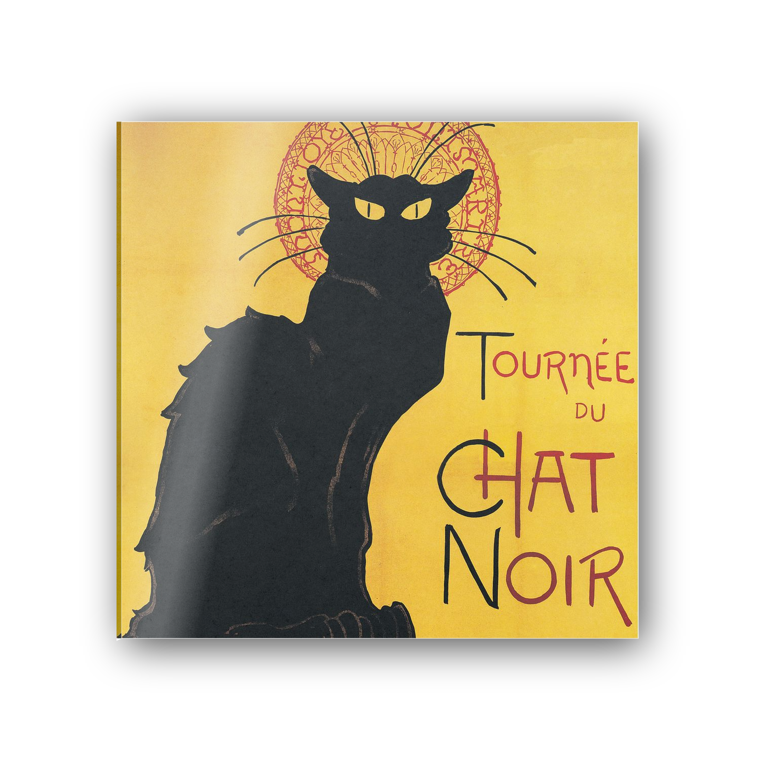 Chat noir cm 50x50