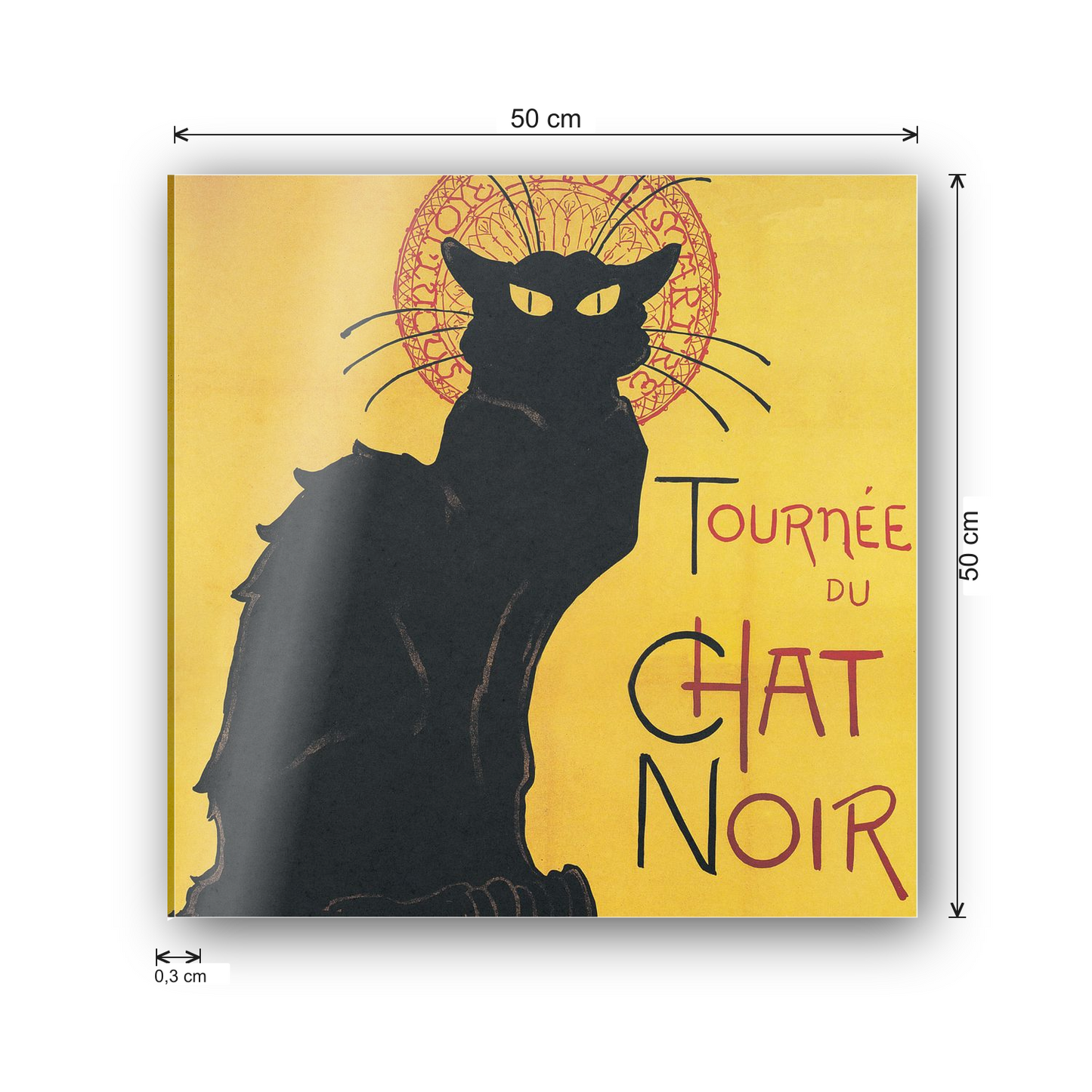 Chat noir cm 50x50 - misure
