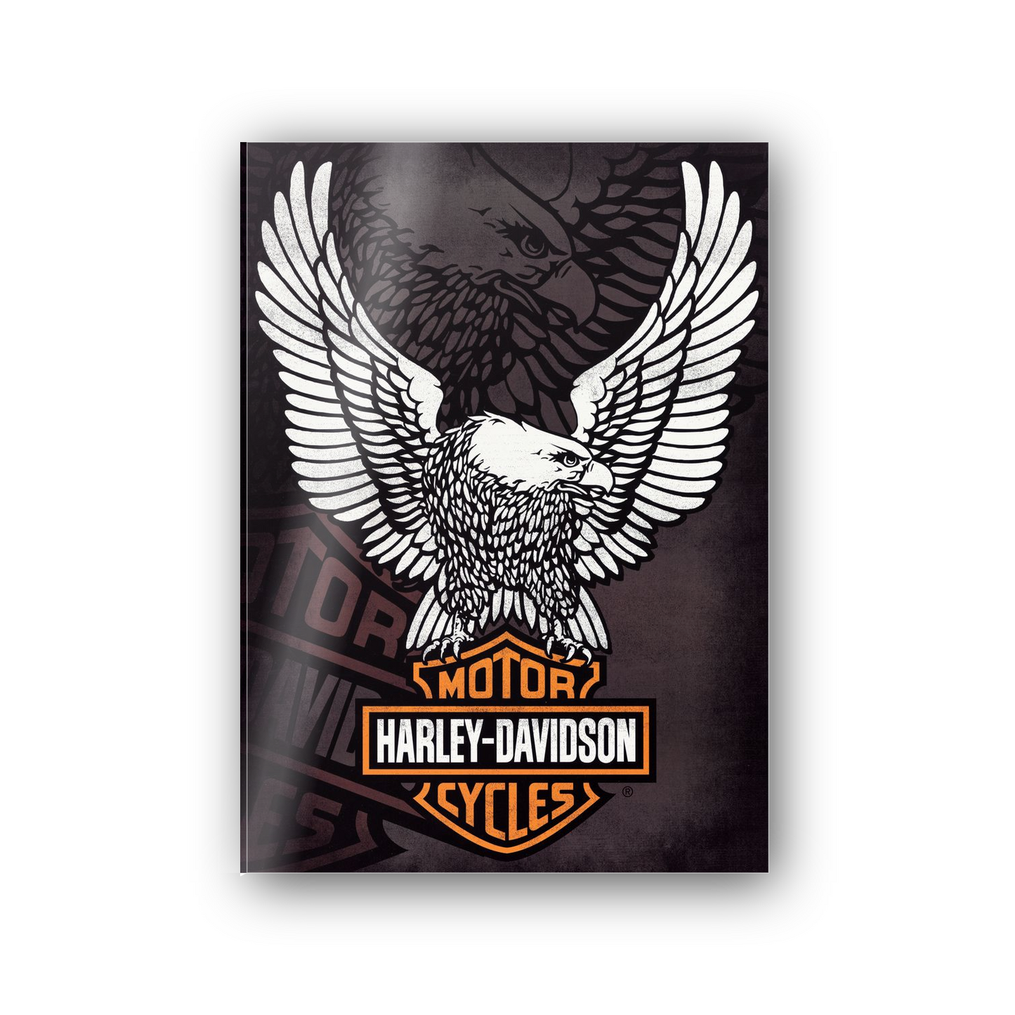 Homage to Harley Davidson  cm 50x70