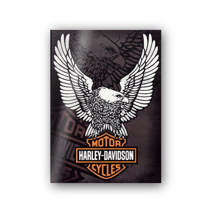 Homage to Harley Davidson  cm 50x70