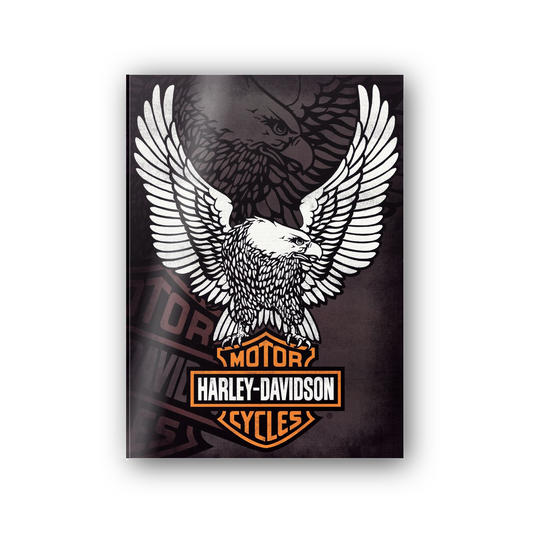 Homage to Harley Davidson  cm 50x70