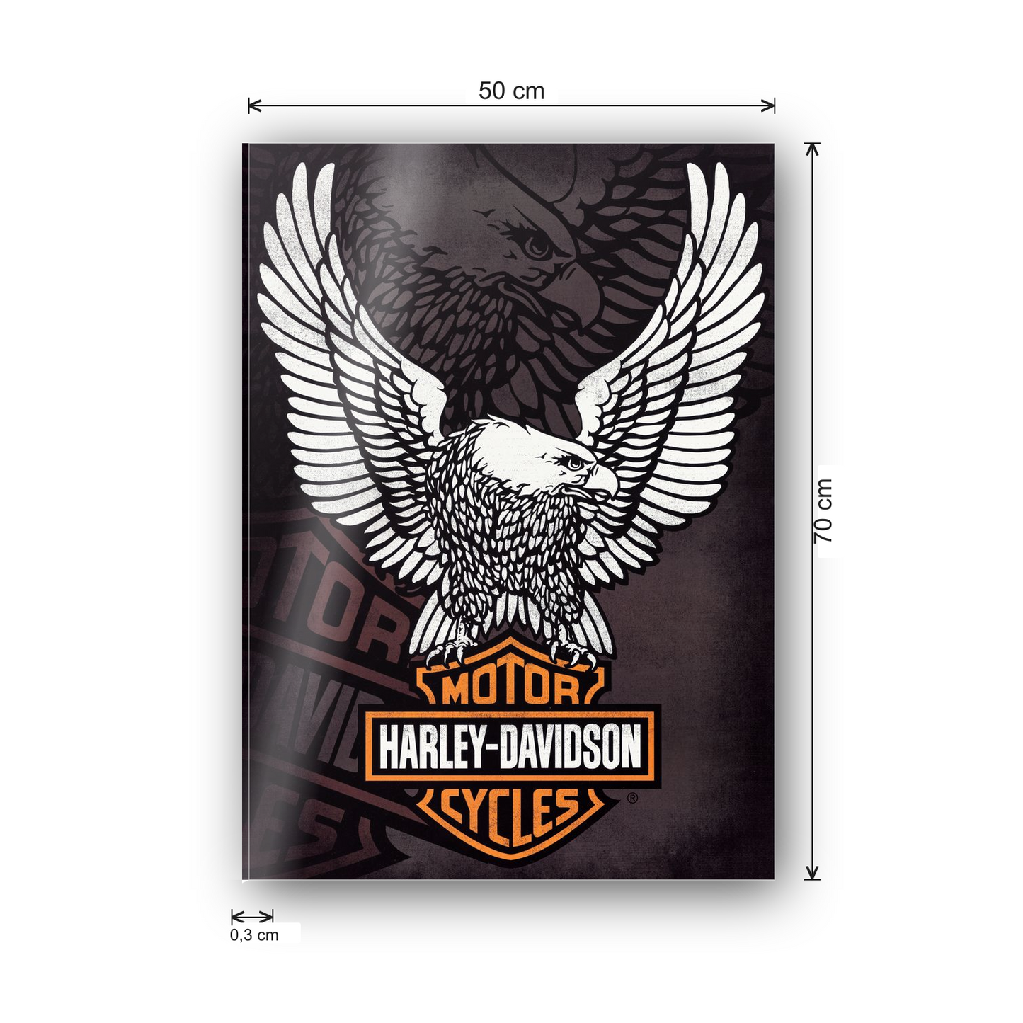 Homage to Harley Davidson  cm 50x70 - misure