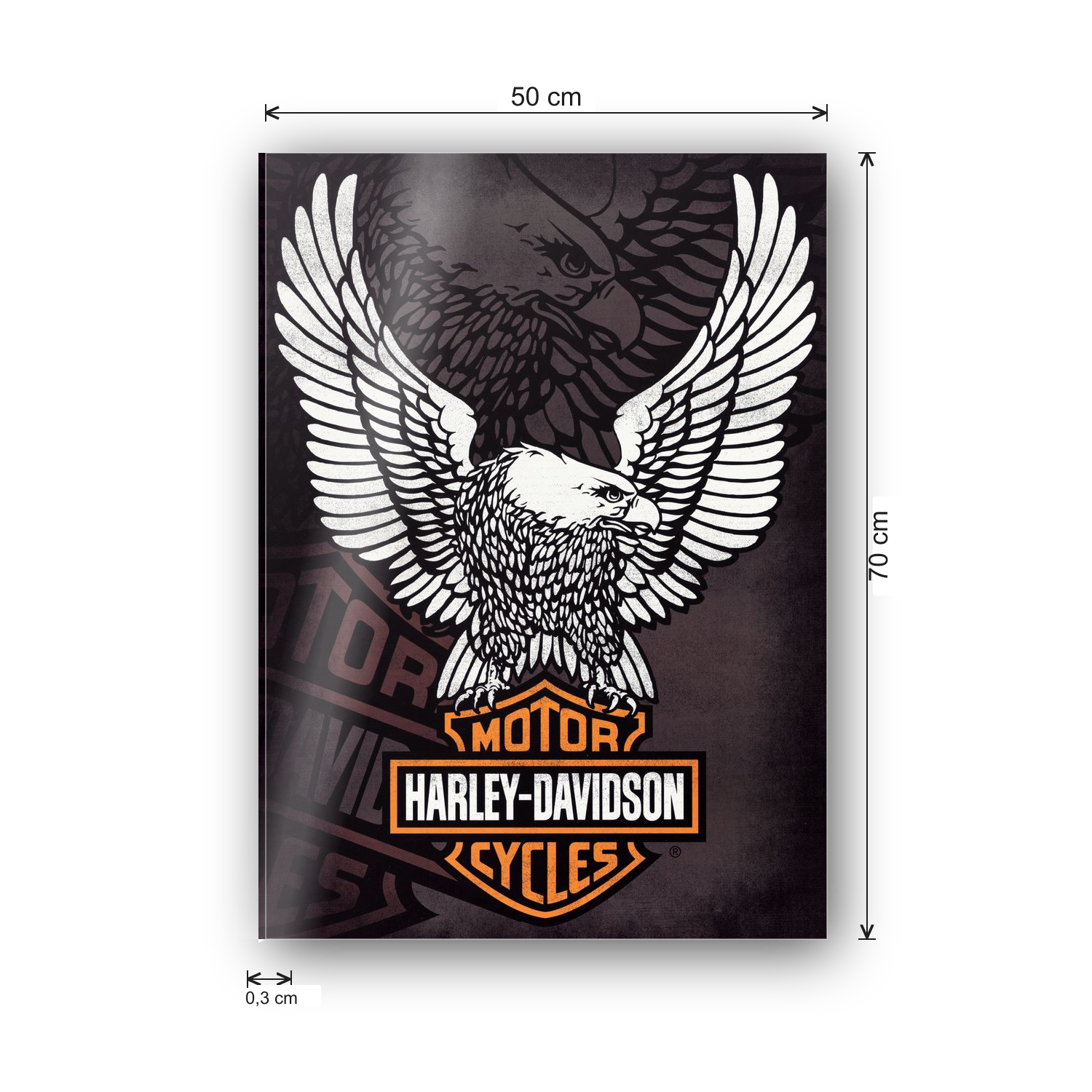 Homage to Harley Davidson  cm 50x70 - misure