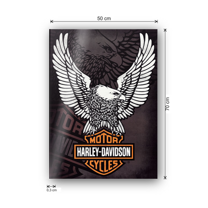 Homage to Harley Davidson  cm 50x70 - misure