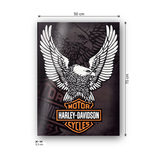 Homage to Harley Davidson  cm 50x70 - misure