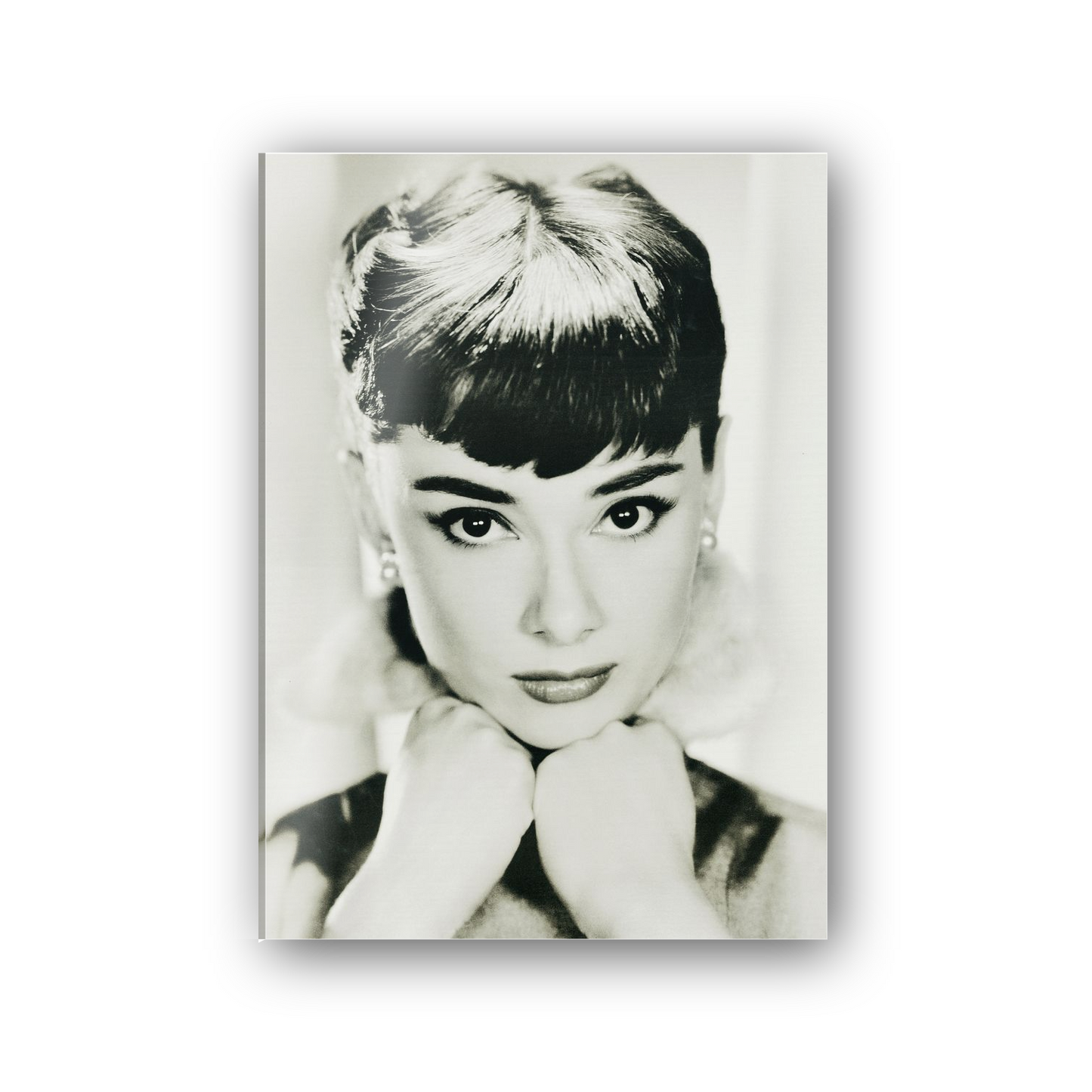 Homage to Audrey   cm 50x70