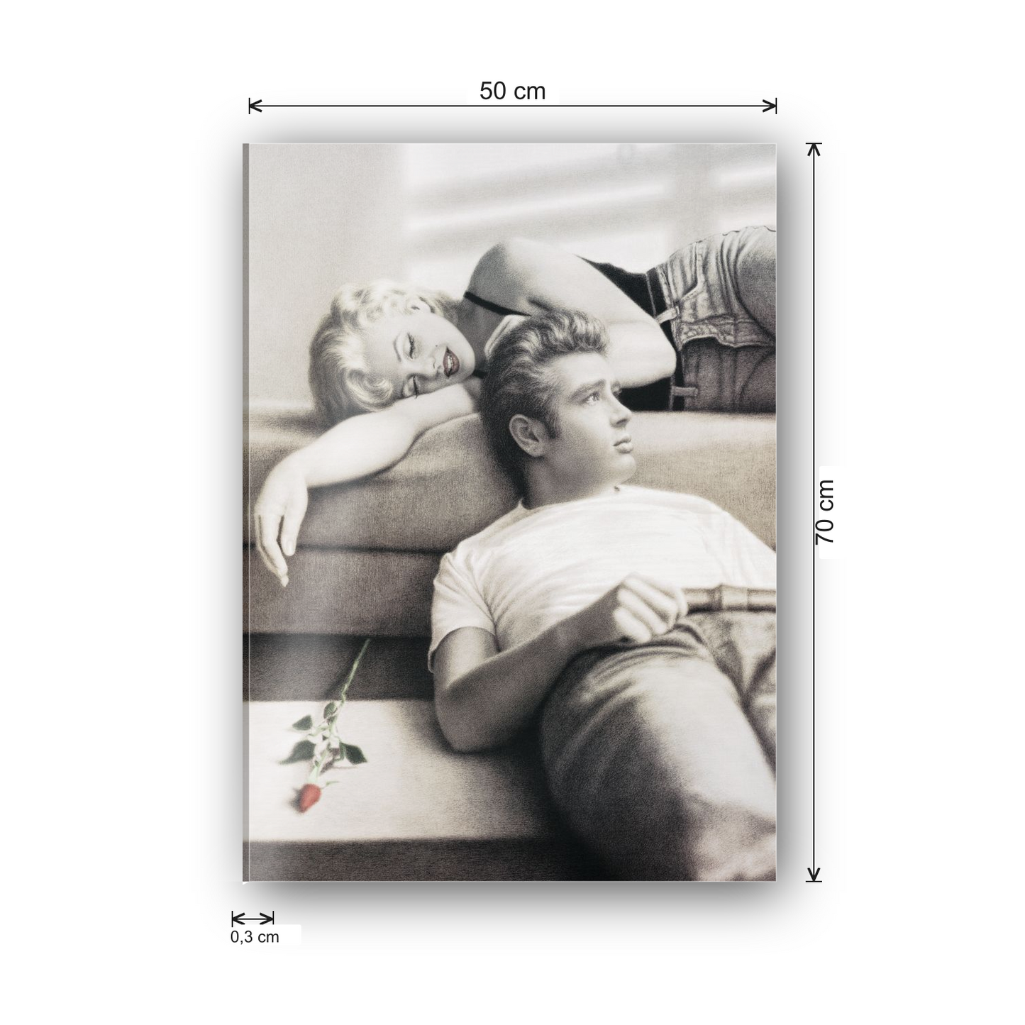James and Marilyn  cm 50x70 - misure