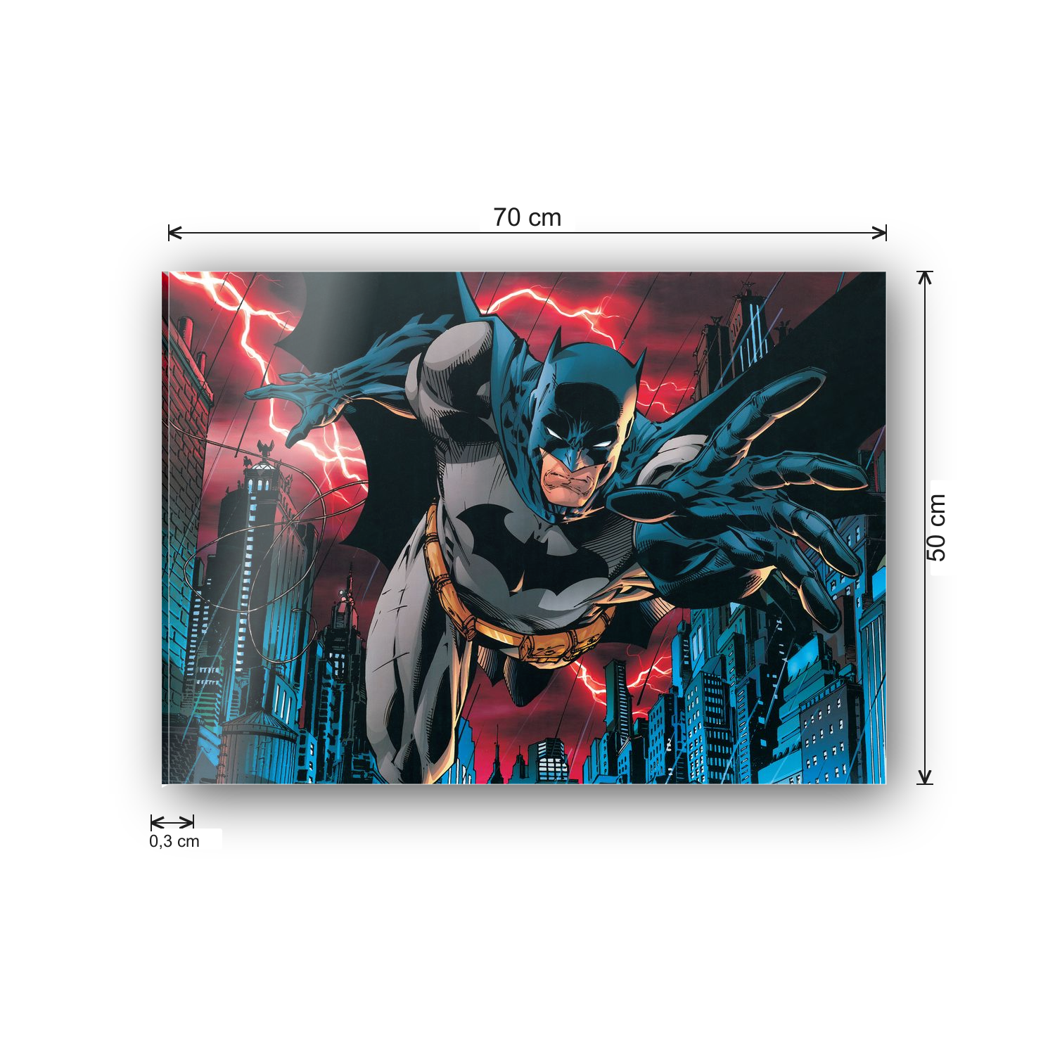 Homage to Batman Forever cm 70x50 - misure