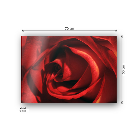 Red Rose cm 70x50 - misure