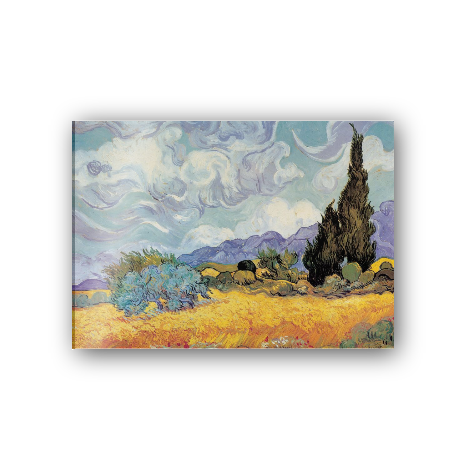 Homage to Van Gogh - Cypress Trees cm 70x50