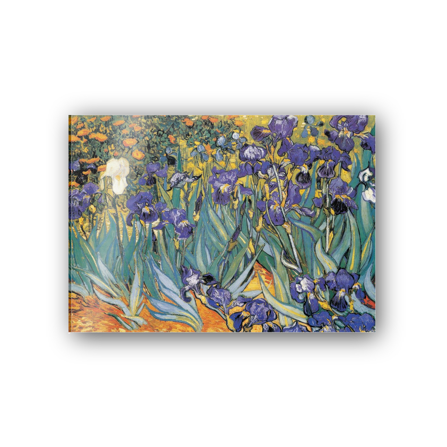 Homage to Van Gogh - Irises cm 70x50