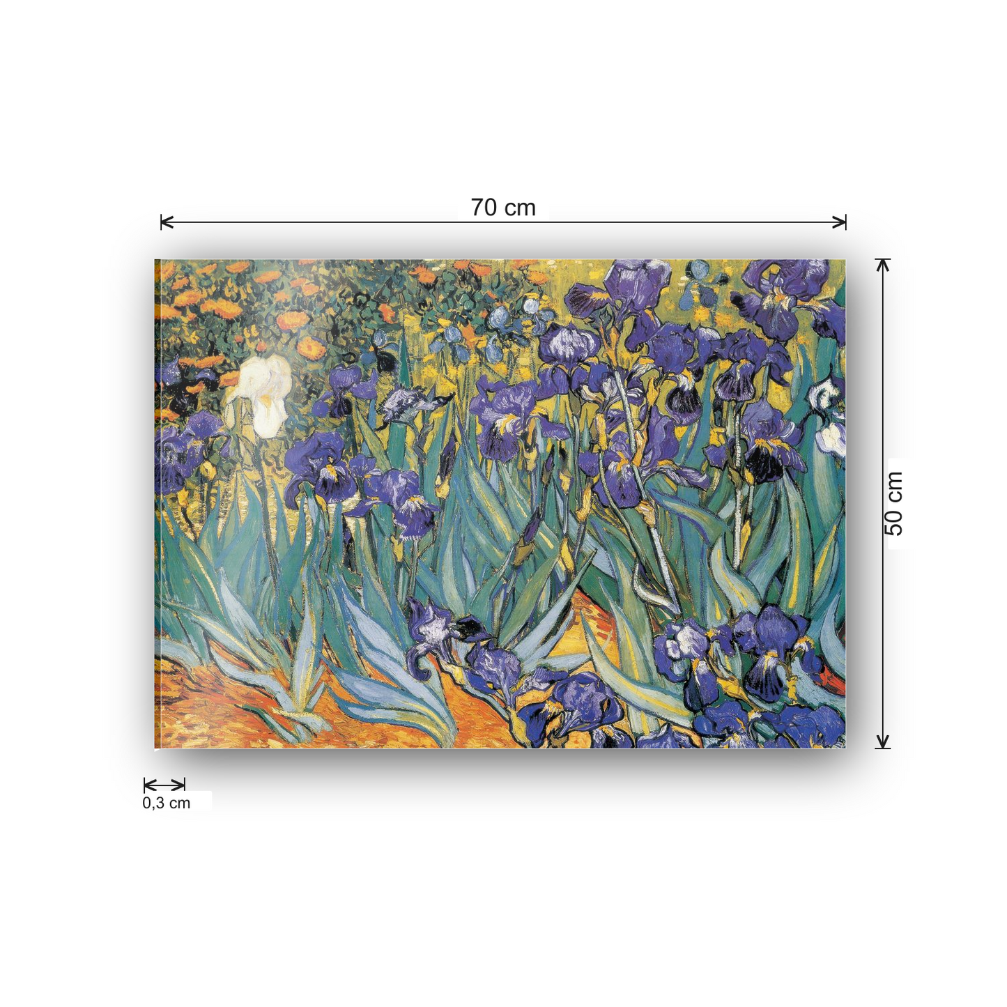Homage to Van Gogh - Irises cm 70x50 - misure