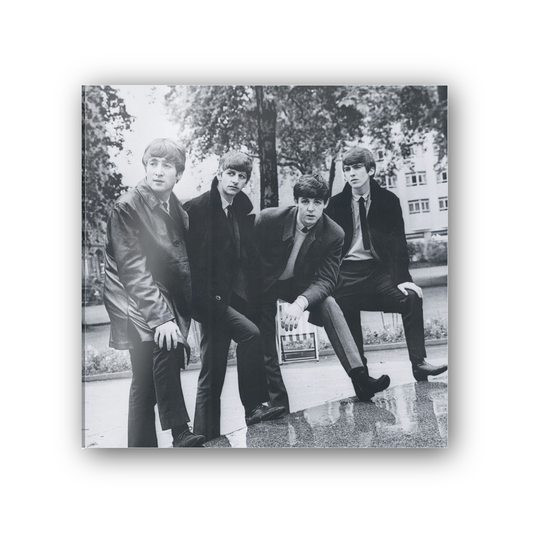The Beatles cm 50x50