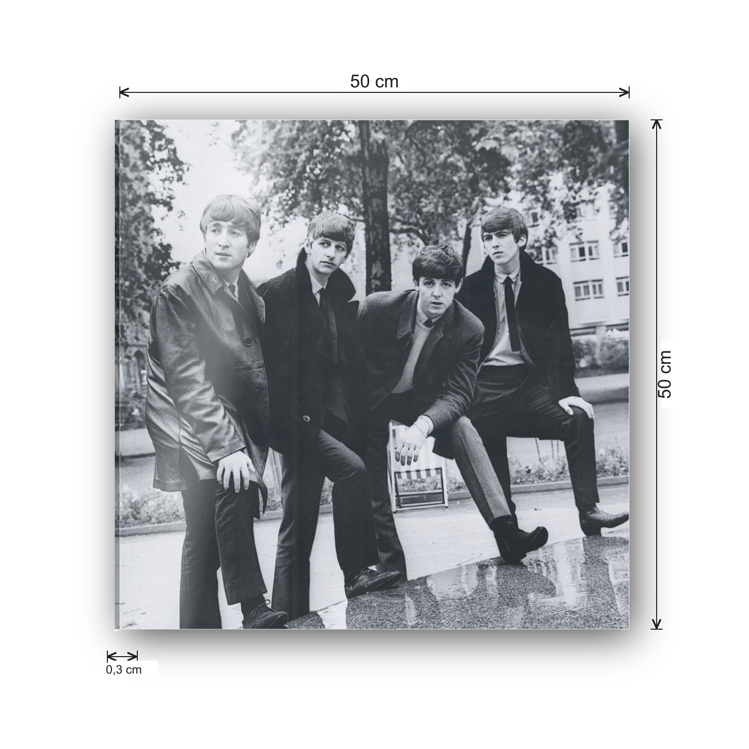 The Beatles cm 50x50 - misure
