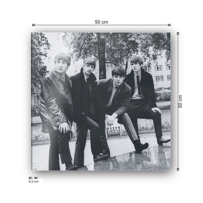 The Beatles cm 50x50 - misure