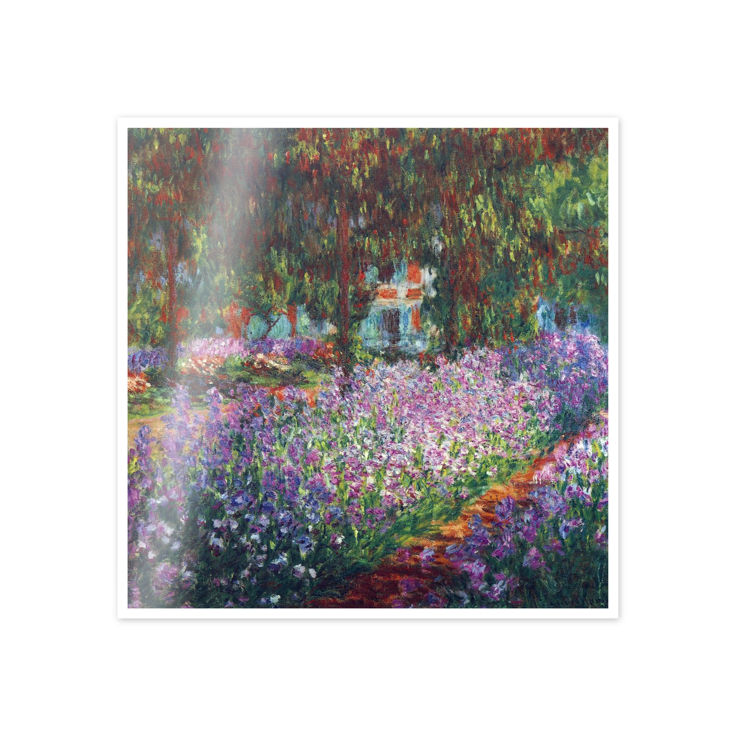 Homage to Monet - Monet's garden in Giverny cm 50x50