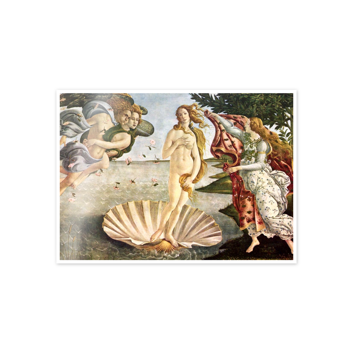 Homage to Botticelli - Birth of Venus cm 70x50