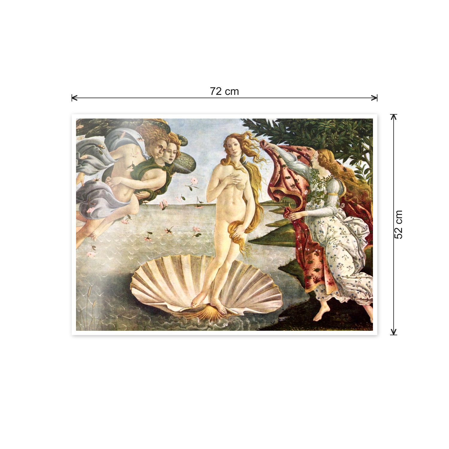Homage to Botticelli - Birth of Venus cm 70x50 - misure