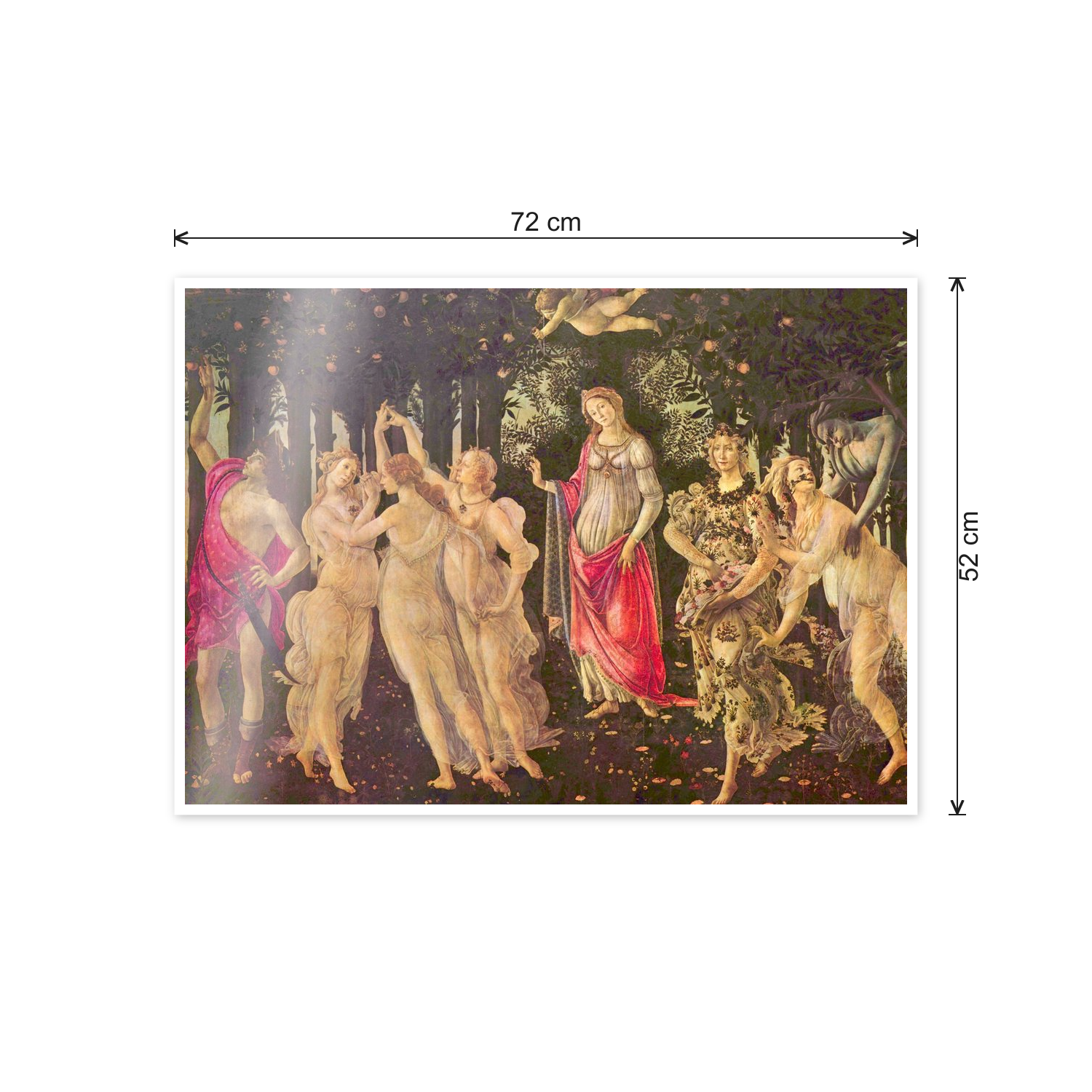 Homage to Botticelli - First Spring cm 70x50 - misure