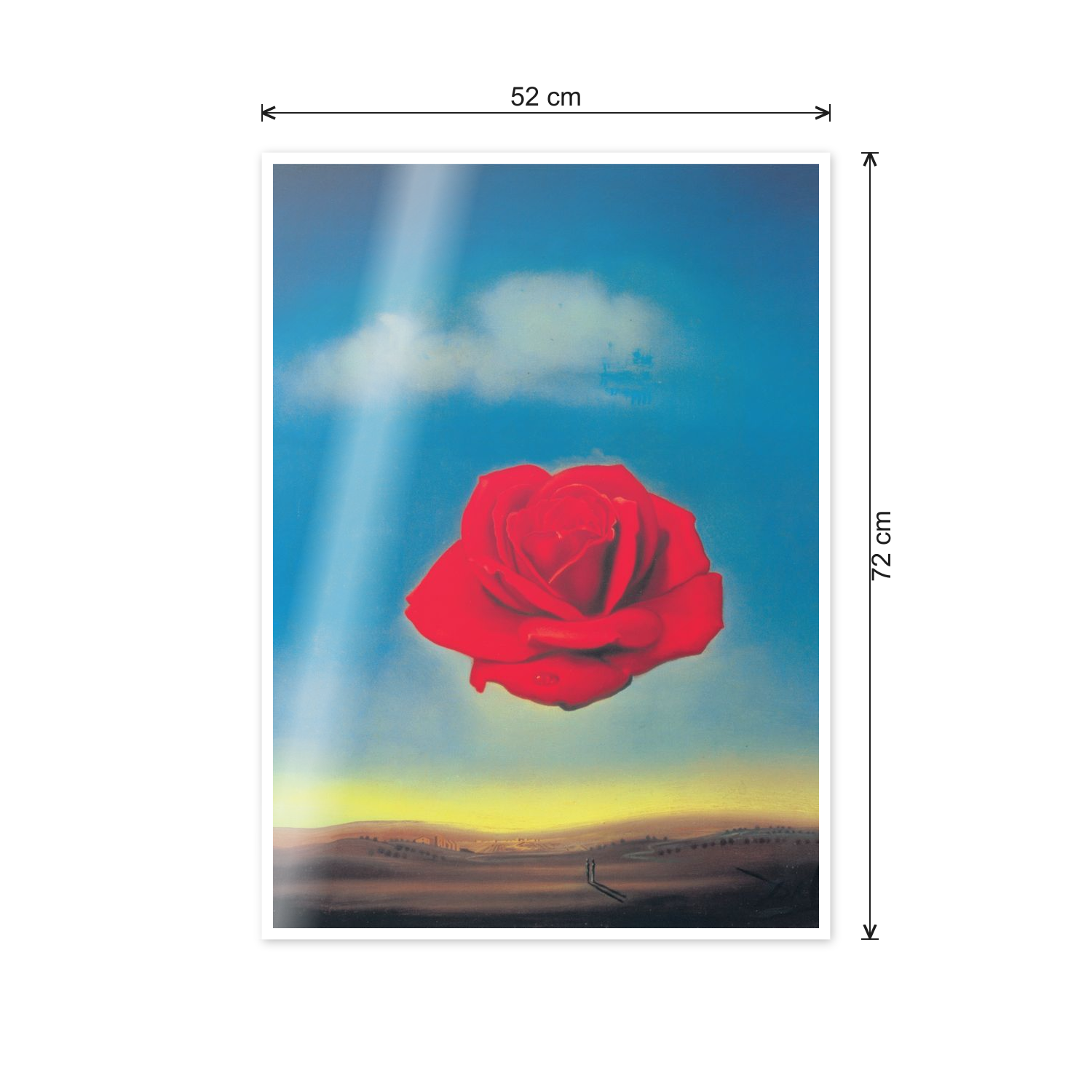 Homage to Dalì - Thoughtful Rose, 1958 cm 50x70 - misure