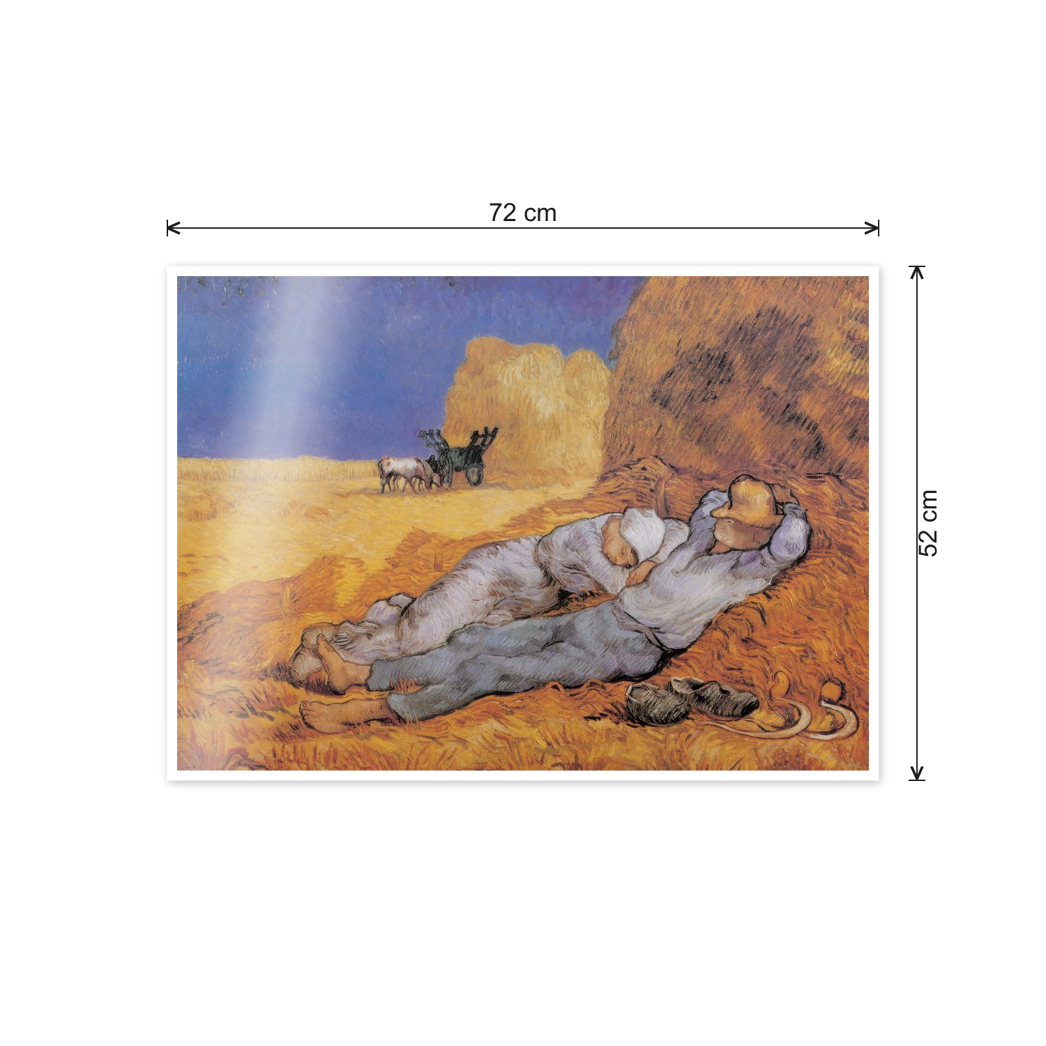 Homage to Van Gogh - The Afternoon Siesta cm 70x50 - misure