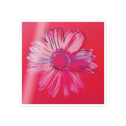 Homage to Warhol - Daisy, C.1982 cm 50x50
