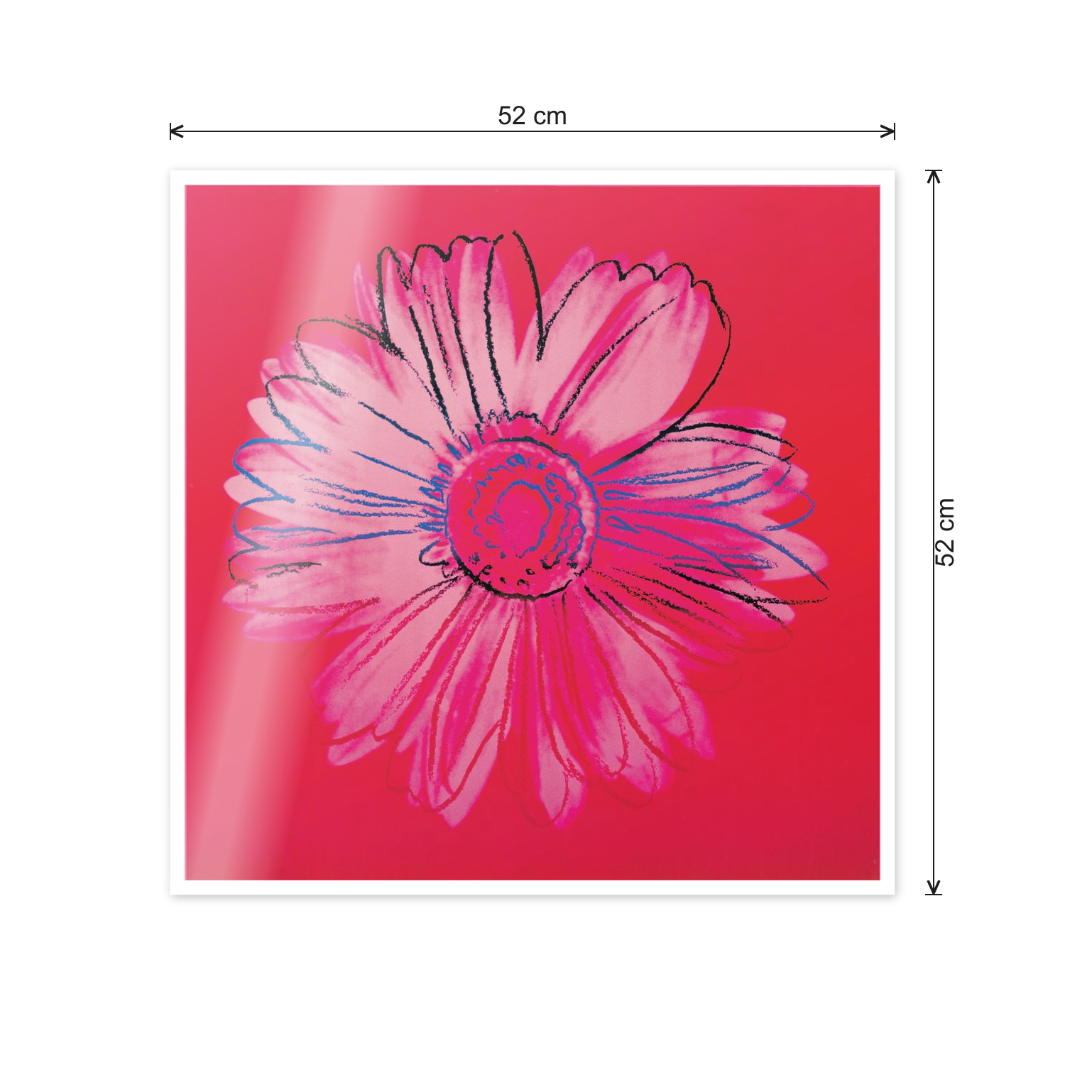 Homage to Warhol - Daisy, C.1982 cm 50x50 - misure
