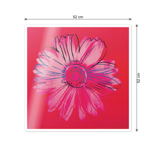 Homage to Warhol - Daisy, C.1982 cm 50x50 - misure