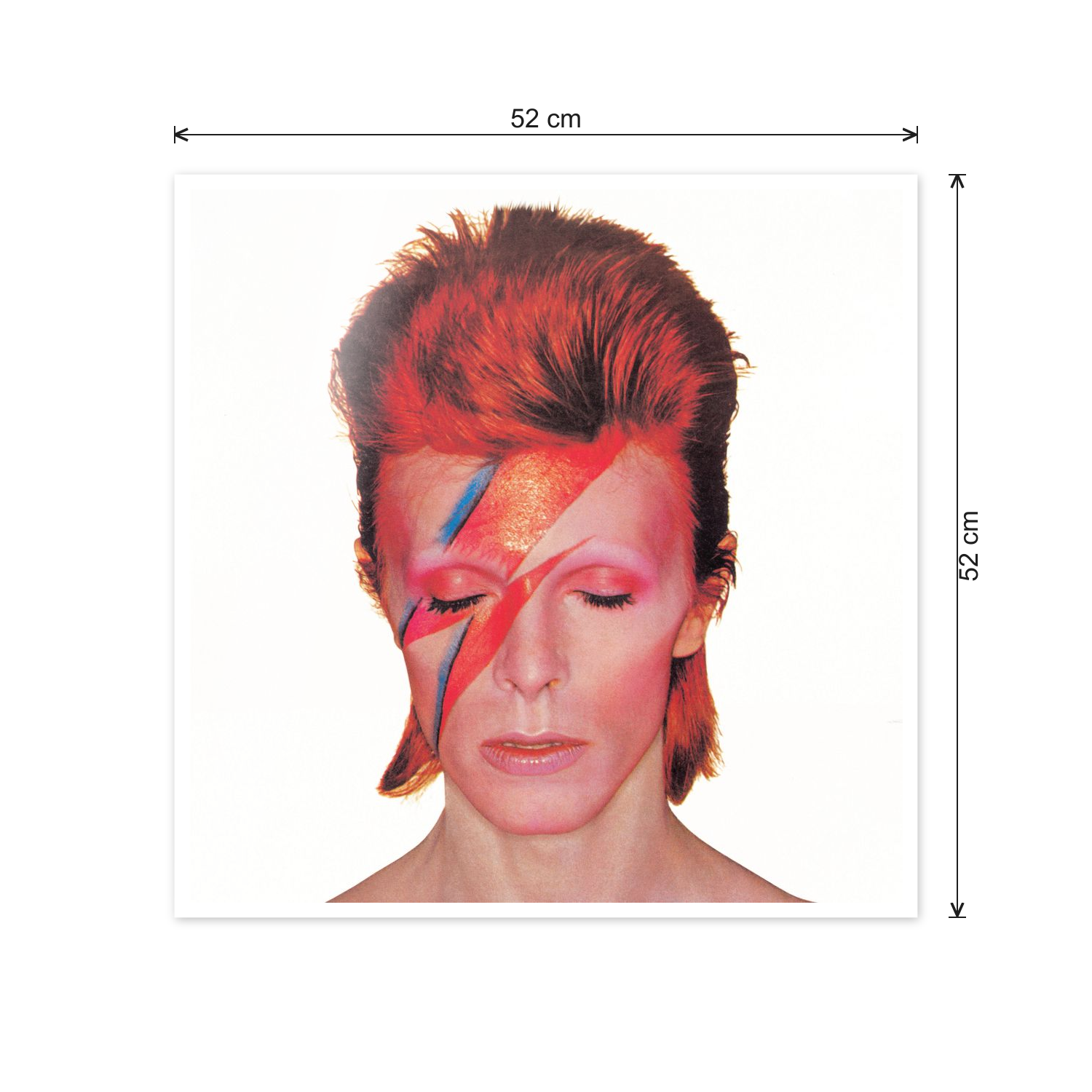 David Bowie cm 50x50 - misure