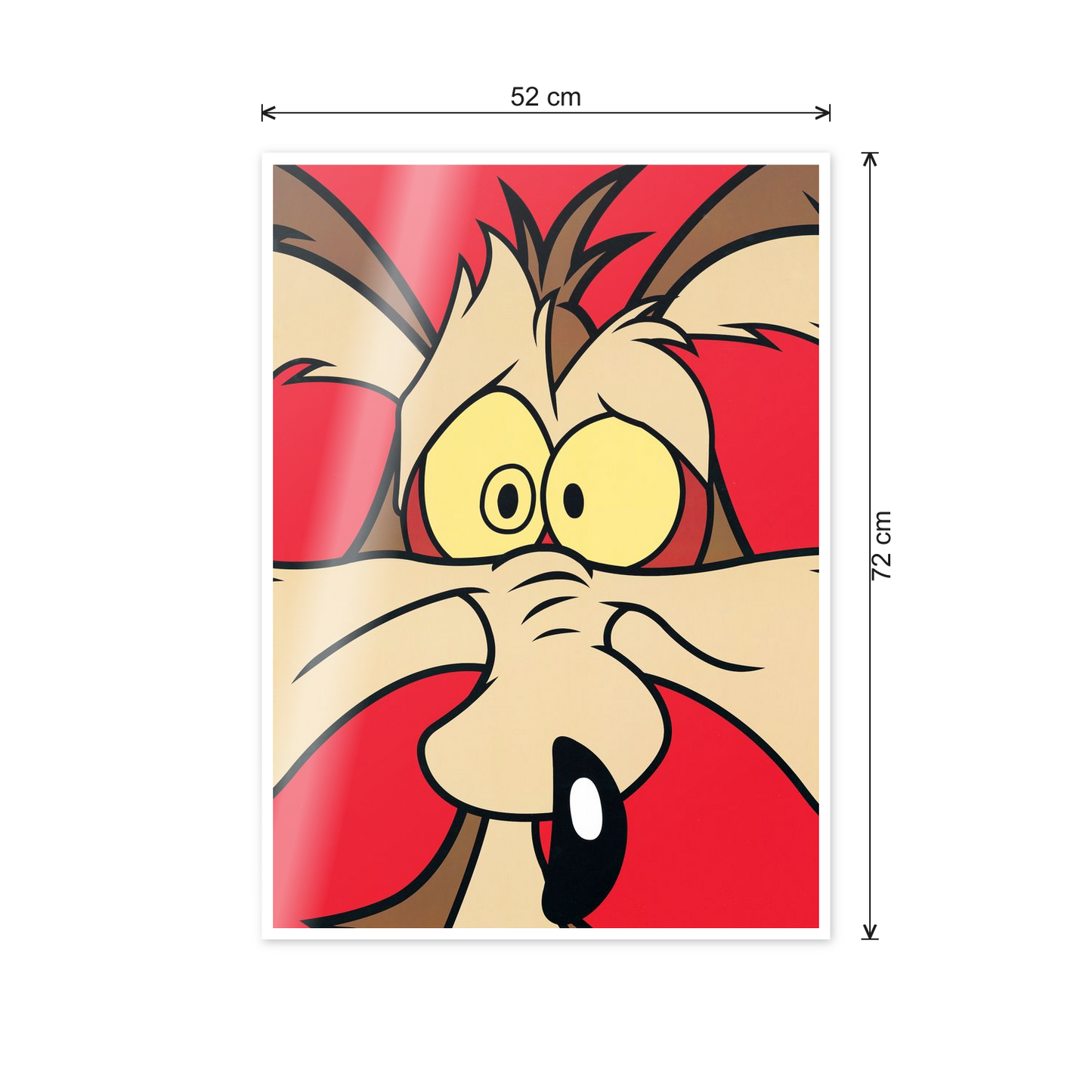 Homage to Wile E. Coyote cm 50x70 - misure