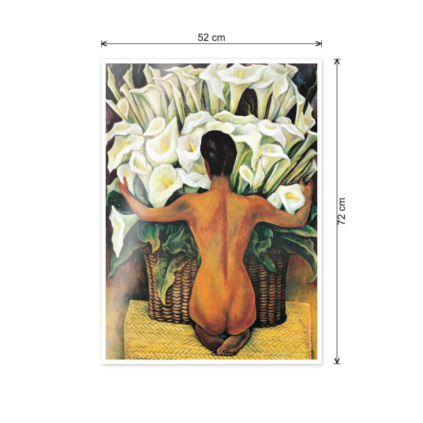 Homage to Rivera - Nude With Calla Lilies cm 50x70 - misure