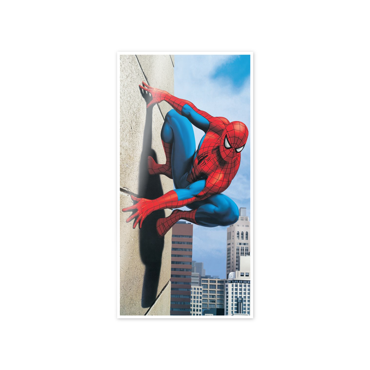 Homage to Spiderman cm 50x100
