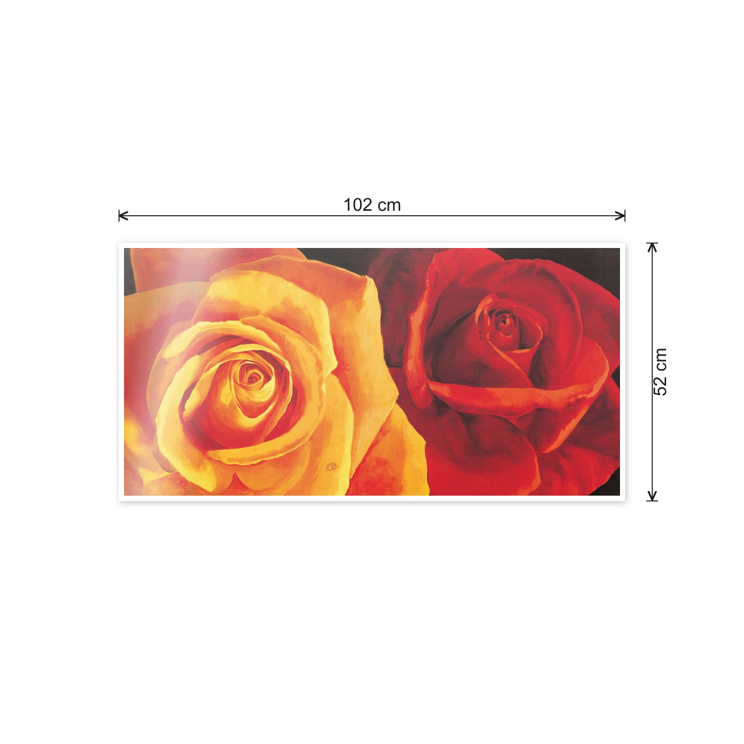 Roses cm 100x50 - misure