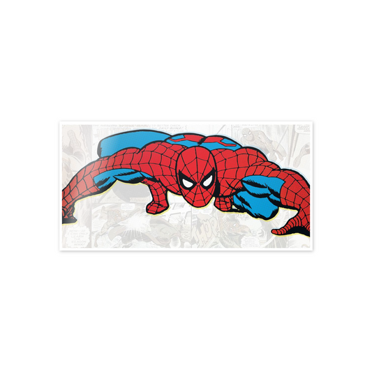 Homage to Spiderman cm 100x50
