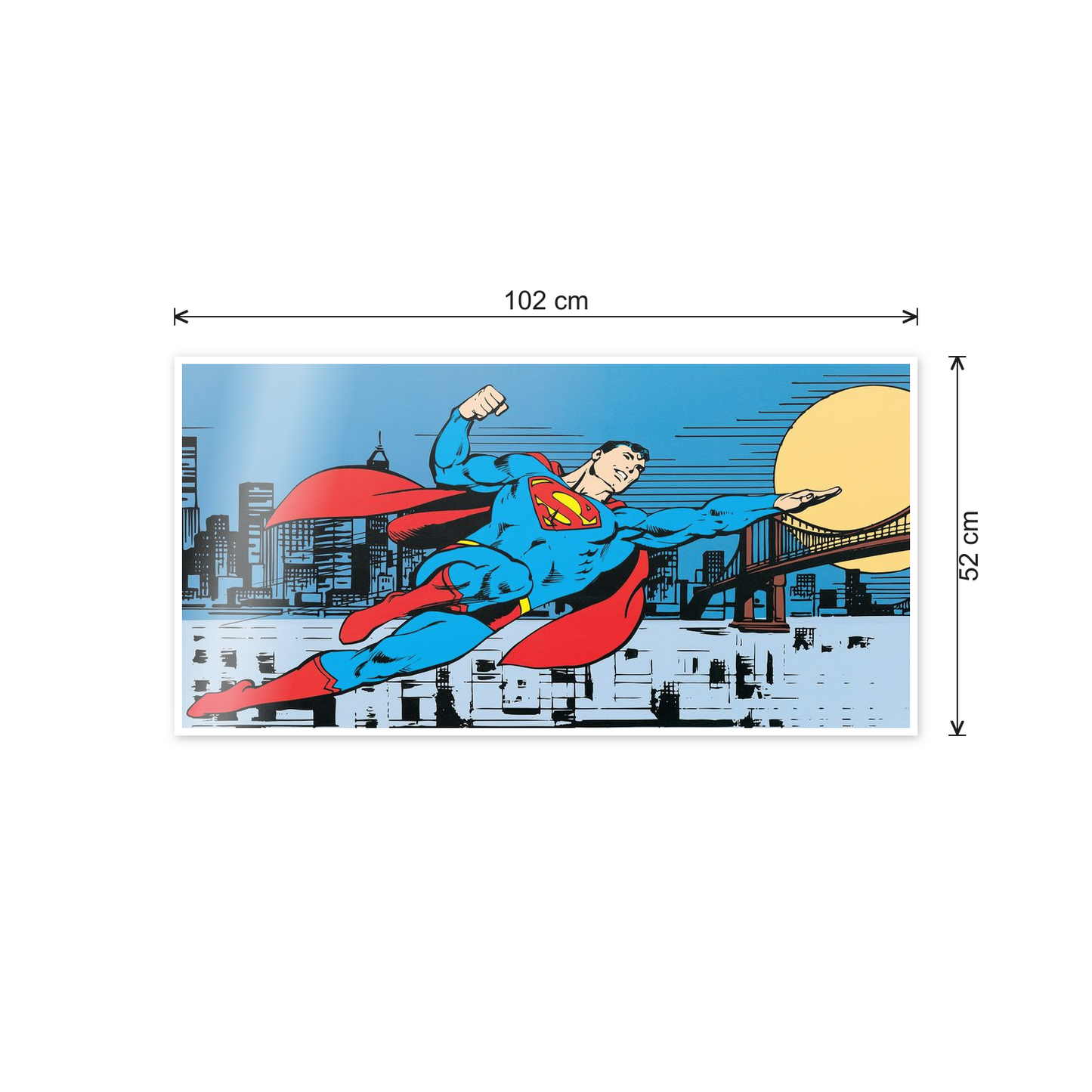 Homage to Superman - Metropolis cm 100x50 - misure