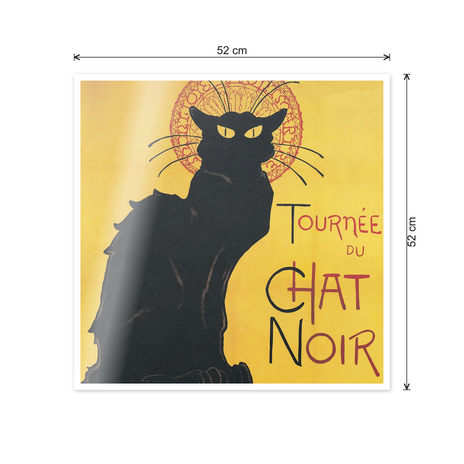 Chat noir cm 50x50 - misure