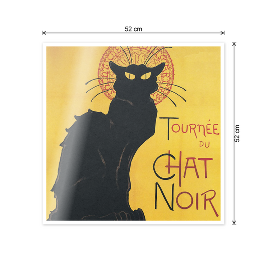 Chat noir cm 50x50 - misure