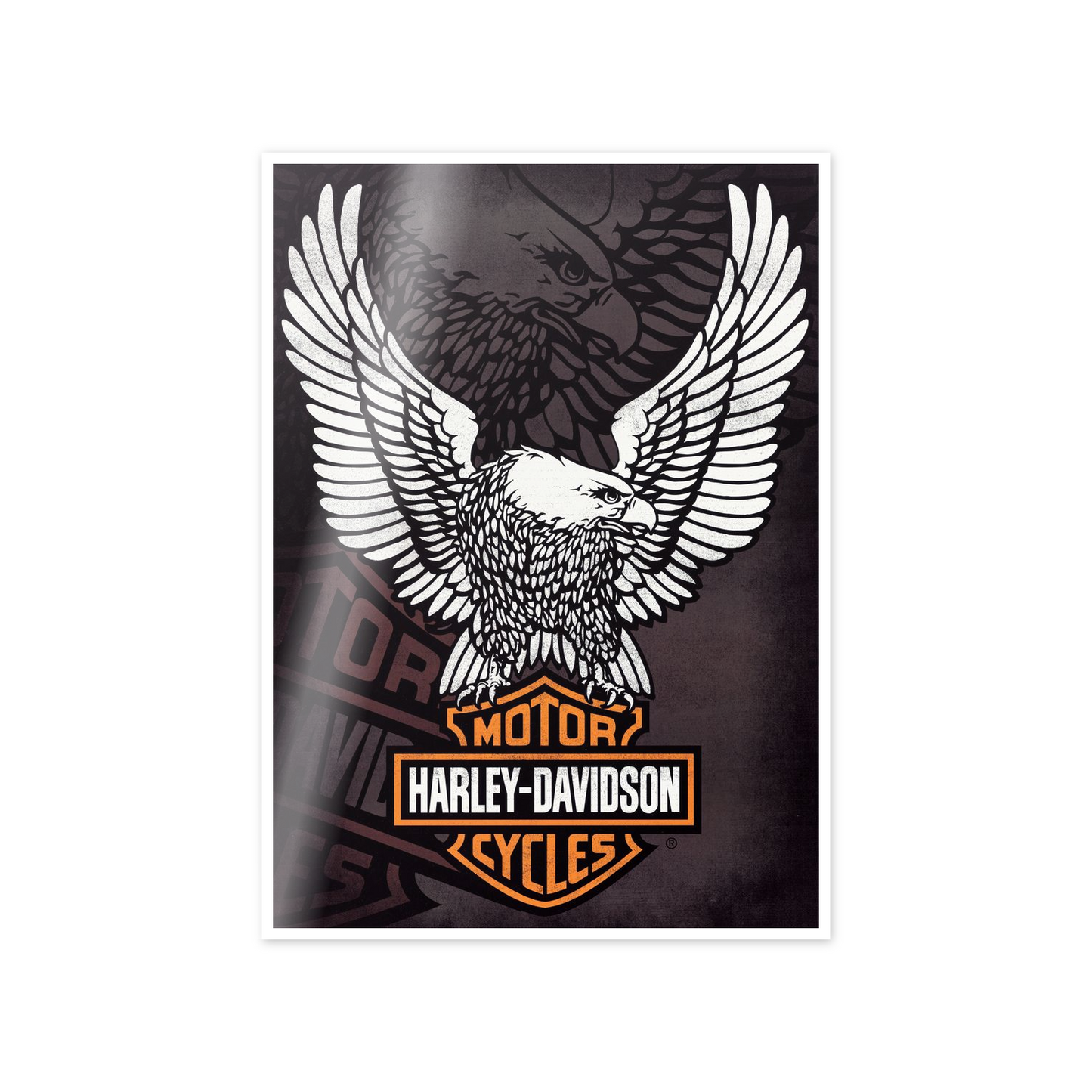 Homage to Harley Davidson cm 50x70