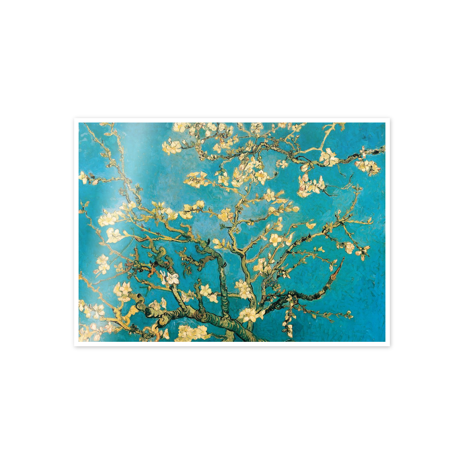 Homage to Van Gogh - Mandorli In Fiore A San Remy cm 70x50