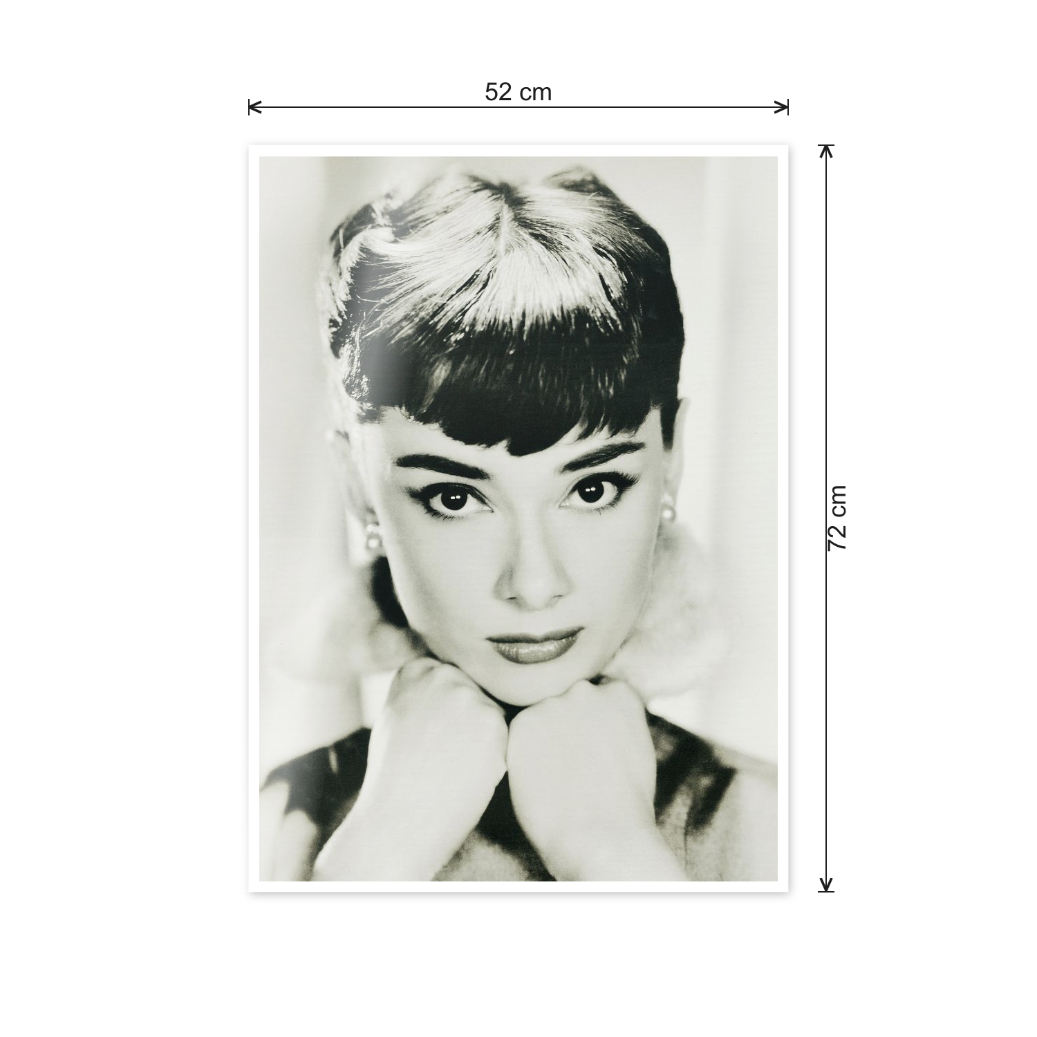 Homage to Audrey cm 50x70 - misure